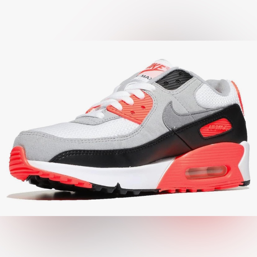 Nike Air Max 90 (Big Kid)